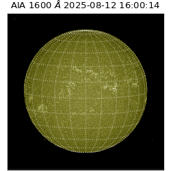 saia - 2025-08-12T16:00:14.126000