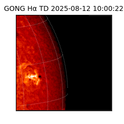 gong - 2025-08-12T10:00:22