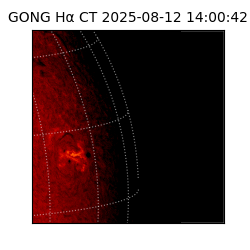 gong - 2025-08-12T14:00:42