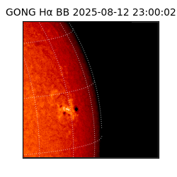 gong - 2025-08-12T23:00:02