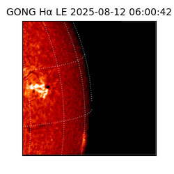 gong - 2025-08-12T06:00:42
