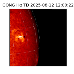 gong - 2025-08-12T12:00:22