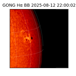 gong - 2025-08-12T22:00:02