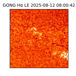 gong - 2025-08-12T08:00:42