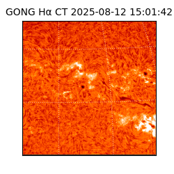 gong - 2025-08-12T15:01:42