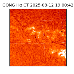 gong - 2025-08-12T19:00:42