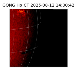 gong - 2025-08-12T14:00:42
