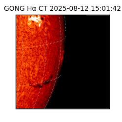 gong - 2025-08-12T15:01:42