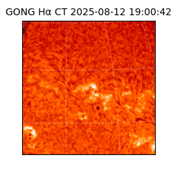 gong - 2025-08-12T19:00:42