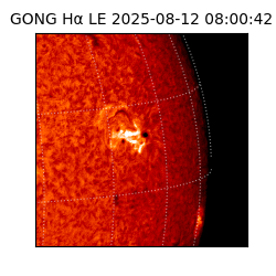 gong - 2025-08-12T08:00:42