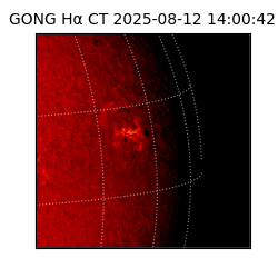 gong - 2025-08-12T14:00:42