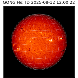 gong - 2025-08-12T12:00:22
