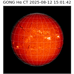 gong - 2025-08-12T15:01:42
