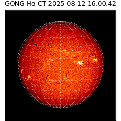 gong - 2025-08-12T16:00:42