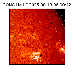 gong - 2025-08-13T06:00:42
