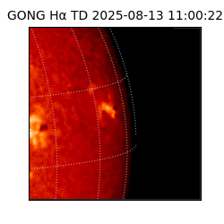 gong - 2025-08-13T11:00:22