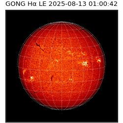 gong - 2025-08-13T01:00:42