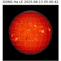 gong - 2025-08-13T05:00:42