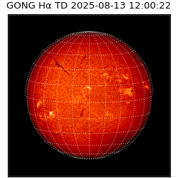 gong - 2025-08-13T12:00:22