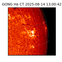 gong - 2025-08-14T13:00:42