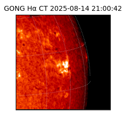 gong - 2025-08-14T21:00:42