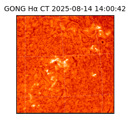 gong - 2025-08-14T14:00:42