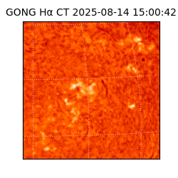 gong - 2025-08-14T15:00:42