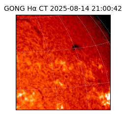 gong - 2025-08-14T21:00:42