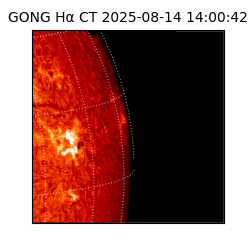gong - 2025-08-14T14:00:42