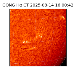 gong - 2025-08-14T16:00:42