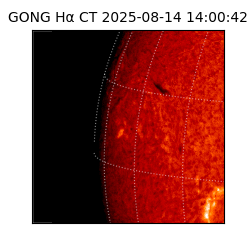 gong - 2025-08-14T14:00:42
