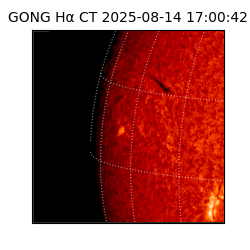 gong - 2025-08-14T17:00:42
