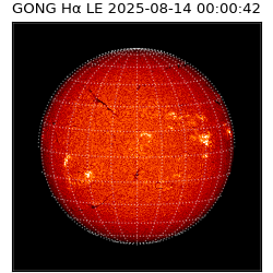 gong - 2025-08-14T00:00:42