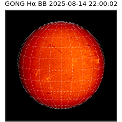 gong - 2025-08-14T22:00:02