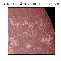 saia - 2025-08-15T11:00:28.737000
