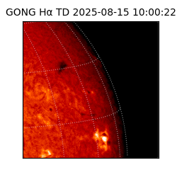 gong - 2025-08-15T10:00:22