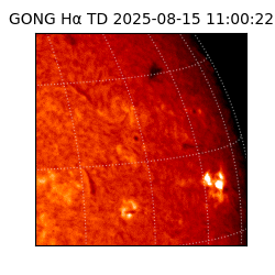 gong - 2025-08-15T11:00:22