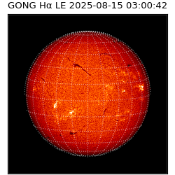 gong - 2025-08-15T03:00:42