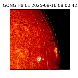 gong - 2025-08-16T08:00:42