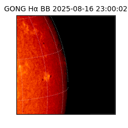 gong - 2025-08-16T23:00:02