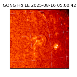 gong - 2025-08-16T05:00:42