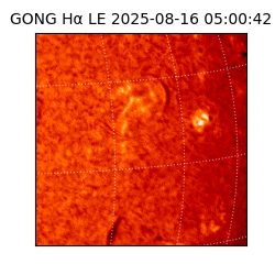 gong - 2025-08-16T05:00:42