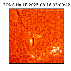 gong - 2025-08-16T03:00:42