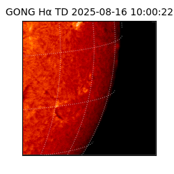 gong - 2025-08-16T10:00:22