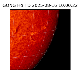 gong - 2025-08-16T10:00:22