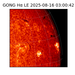 gong - 2025-08-16T03:00:42