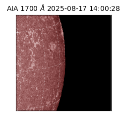 saia - 2025-08-17T14:00:28.721000