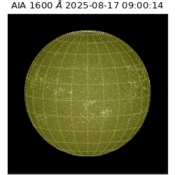 saia - 2025-08-17T09:00:14.117000
