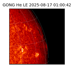 gong - 2025-08-17T01:00:42