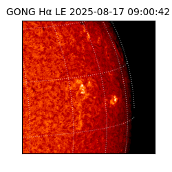 gong - 2025-08-17T09:00:42